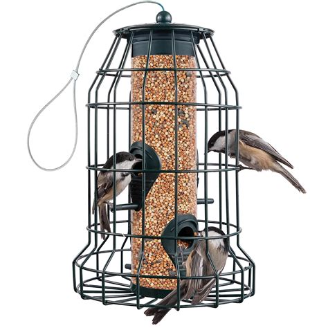 deer proof bird feeder